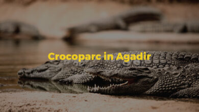 Crocoparc