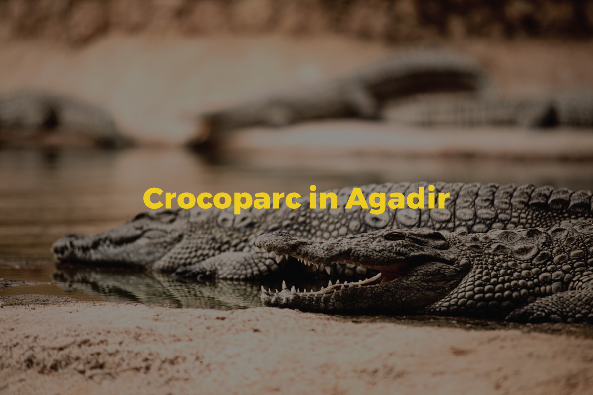 Crocoparc